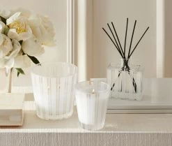 Apricot Tea Classic Candle -Candle Fragrance Shop NESTNY CORE AT CAN CL 3