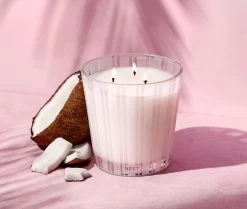 Coconut & Palm 3-Wick Candle -Candle Fragrance Shop NESTNY CORE CPA CAN 3W 3