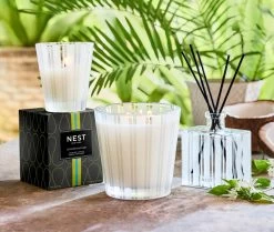 Coconut & Palm Reed Diffuser -Candle Fragrance Shop NESTNY CORE CPA DIF REED 4