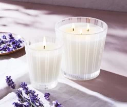 Cedar Leaf & Lavender 3-Wick Candle -Candle Fragrance Shop NESTNY CORE CV CAN 3W 4
