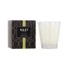 Grapefruit Classic Candle -Candle Fragrance Shop NESTNY CORE GF CAN CL 1 white background