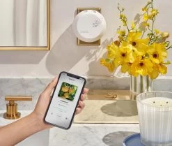 Grapefruit Refill Single For Pura Smart Home Fragrance Diffuser -Candle Fragrance Shop NESTNY CORE GF DIF PURA REF SIN 3