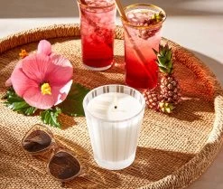 Red Pineapple & Hibiscus Classic Candle -Candle Fragrance Shop NESTNY CORE RPH CAN CL 2