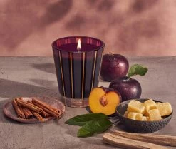 Autumn Plum Classic Candle -Candle Fragrance Shop NESTNY FF ATP CAN CL 3