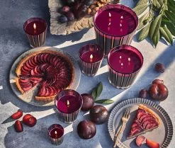 Autumn Plum Votive Candle -Candle Fragrance Shop NESTNY FF ATP CAN V 3