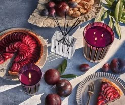 Autumn Plum Reed Diffuser -Candle Fragrance Shop NESTNY FF ATP DIF REED 3