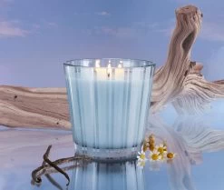 Driftwood & Chamomile 3-Wick Candle -Candle Fragrance Shop NESTNY WELL DC CAN 3W 3
