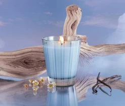 Driftwood & Chamomile Classic Candle -Candle Fragrance Shop NESTNY WELL DC CAN CL 3