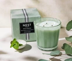 Wild Mint & Eucalyptus 3-Wick Candle -Candle Fragrance Shop NESTNY WELL ECS CAN 3W 3