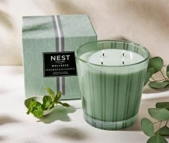 Wild Mint & Eucalyptus Luxury Candle -Candle Fragrance Shop NESTNY WELL ECS CAN LX 3