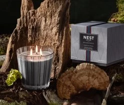 Charcoal Woods 3-Wick Candle -Candle Fragrance Shop NESTNY WILD CW CAN 3W 3