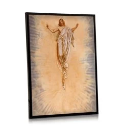 Ascension Framed Print